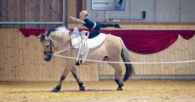 „Aufblian im Toi“ Ausstattung des Voltigier- und Therapiezentrums im Tal/ Braunau
