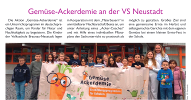 Gem&uuml;se-Ackerdemie an der VS Neustadt
